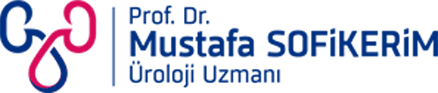 Prof. Dr. Mustafa Sofikerim