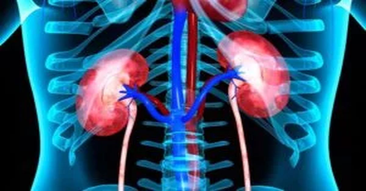 Kidney Cancer Surgery 4 Kidney Cancer Surgery