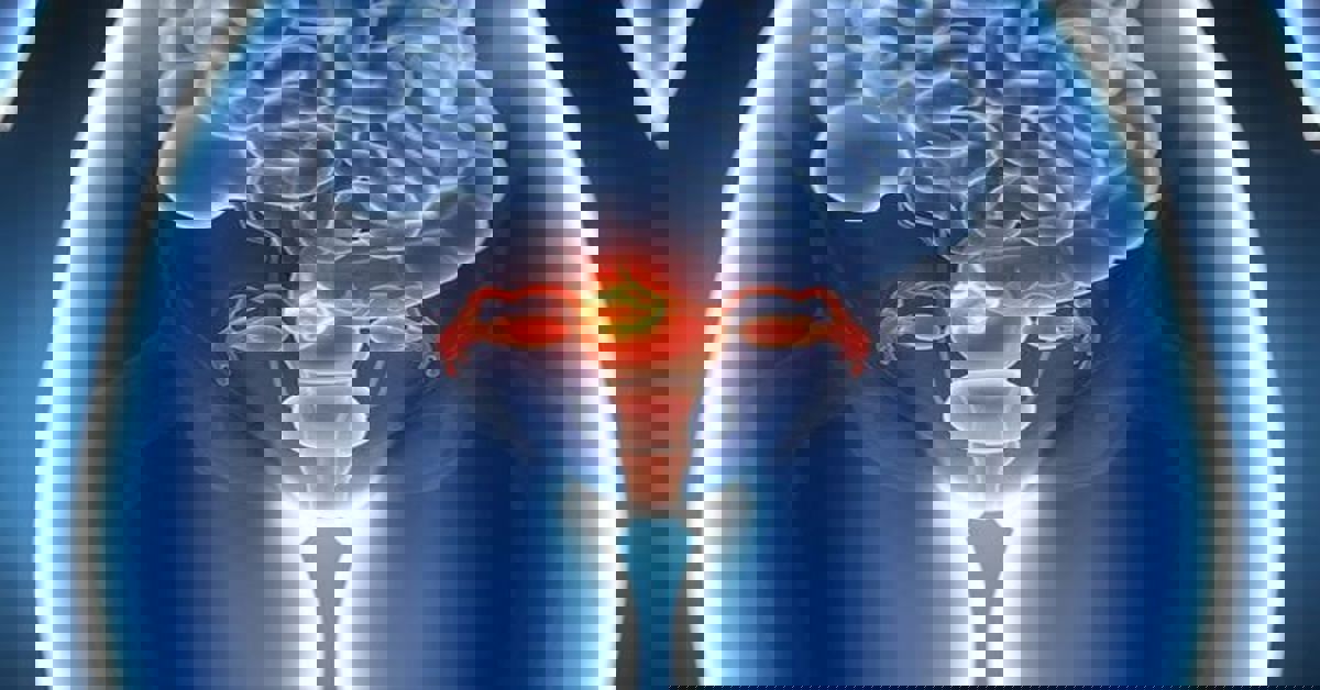 4- التهابات البروستاتا عدوى البروستاتا