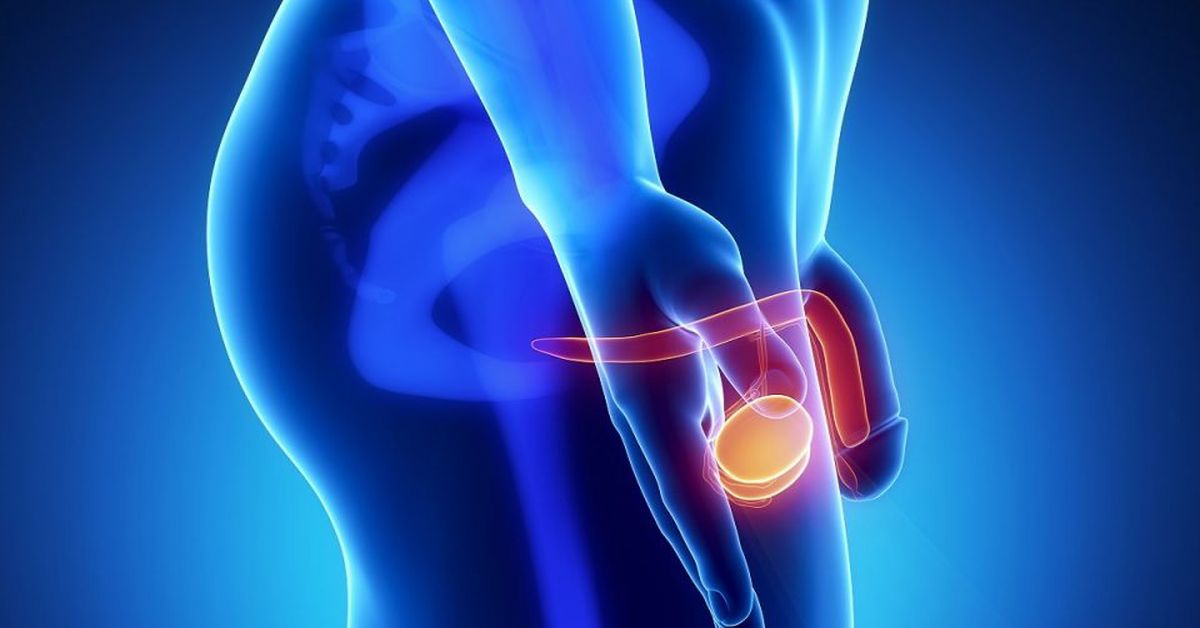 Testis Torsiyonu 4 Testis Torsiyonu