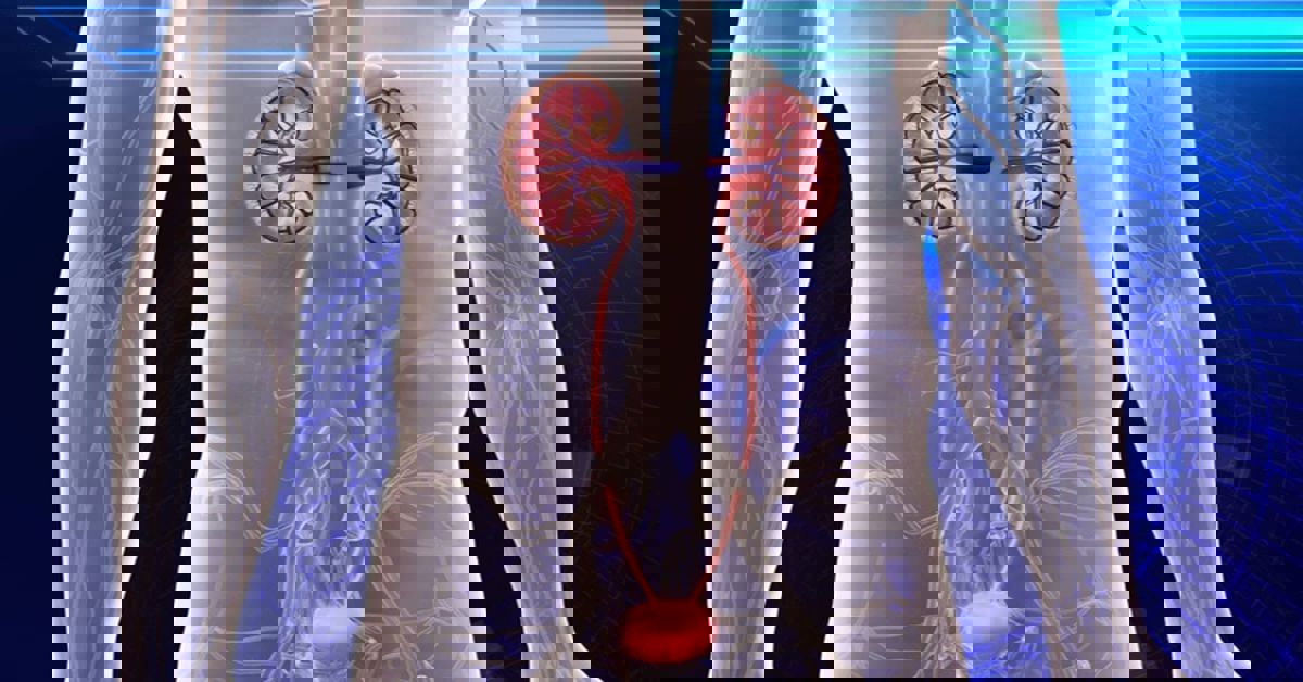 İdrar Yolu Darlığı 3 İdrar Yolu Darlığı