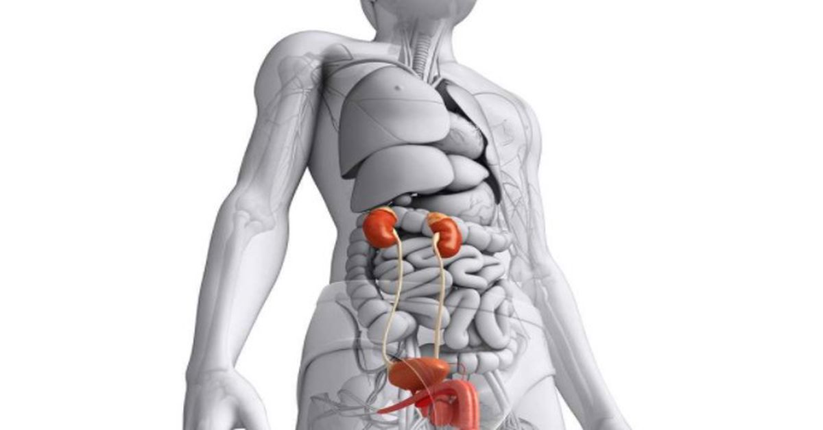 İdrar Yolu Darlığı 4 İdrar Yolu Darlığı