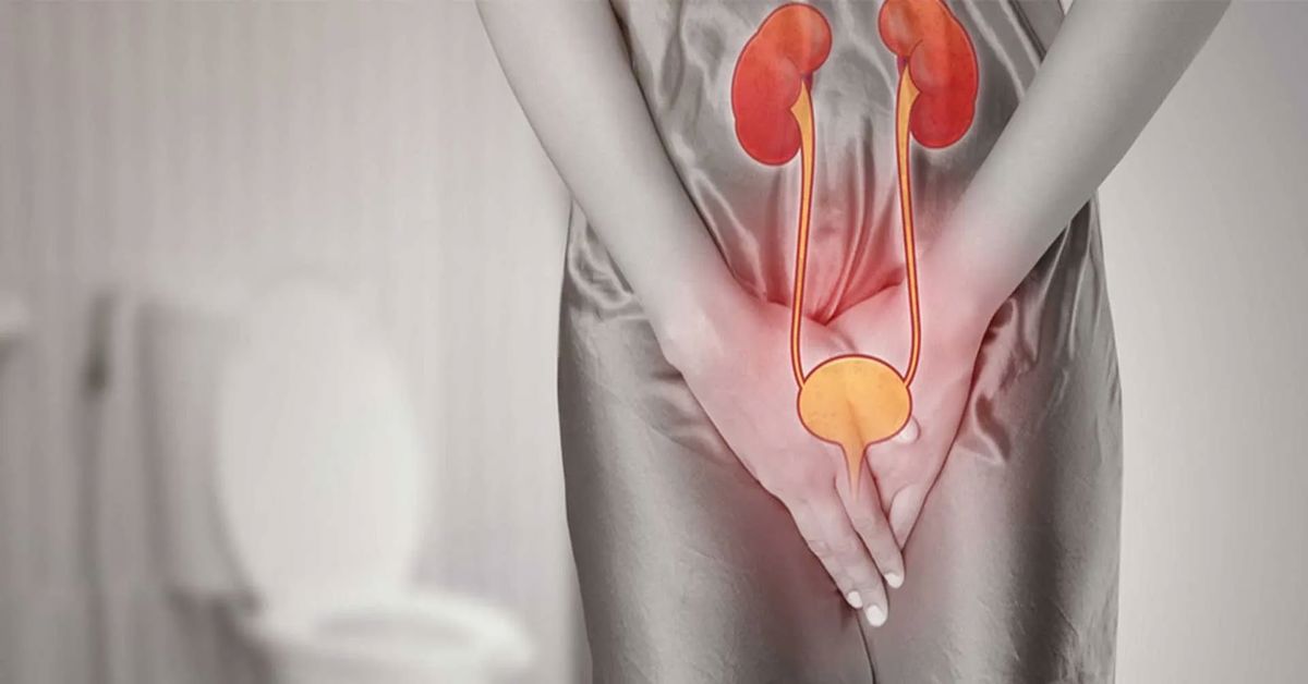 Mesane Enfeksiyonu 4 Mesane Enfeksiyonu