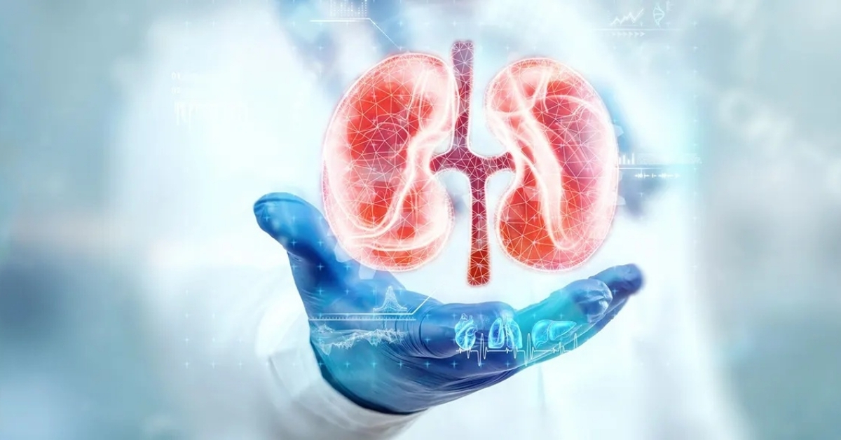 Böbrek Enfeksiyonu 2 Böbrek Enfeksiyonu